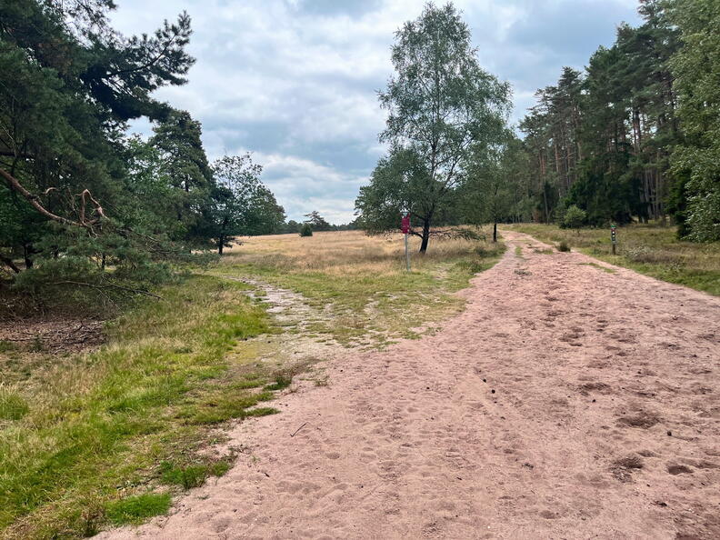 23-09-18 13-52-38 7048